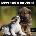 MICASA PRESS Kittens & Puppies | 2026 Wall Calendar 12 Month | 12” x 24” Open | Thick & Sturdy Paper | Holiday Gift | Cute Pet Kitten Puppy Dog Cat Calendar 2026