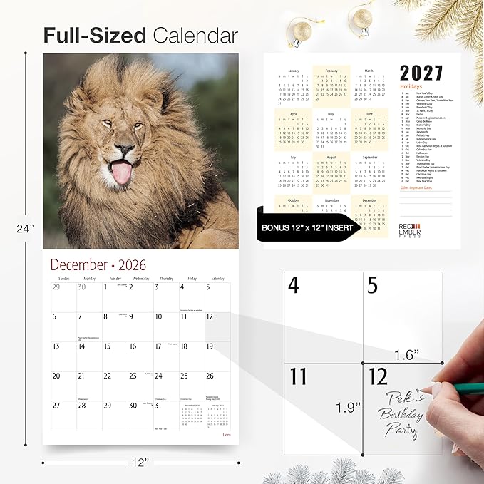 RED EMBER Lions 2026 Wall Calendar 12 Month | 12" x 24" Open | Thick & Sturdy Paper | Holiday Gift | Big Cats Animal Calendar 2026
