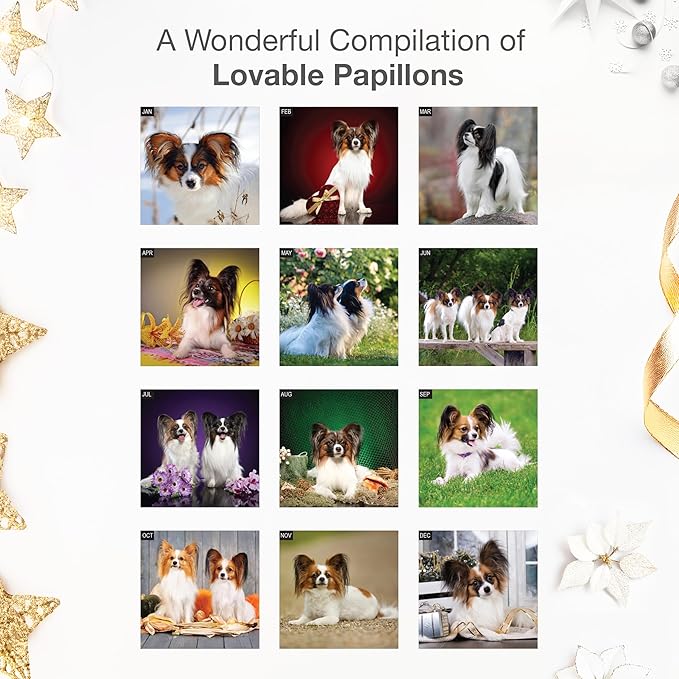 RED EMBER Papillons 2026 Wall Calendar 12 Month | 12" x 24" Open | Thick & Sturdy Paper | Holiday Gift | Cute Puppy Dog Calendar 2026