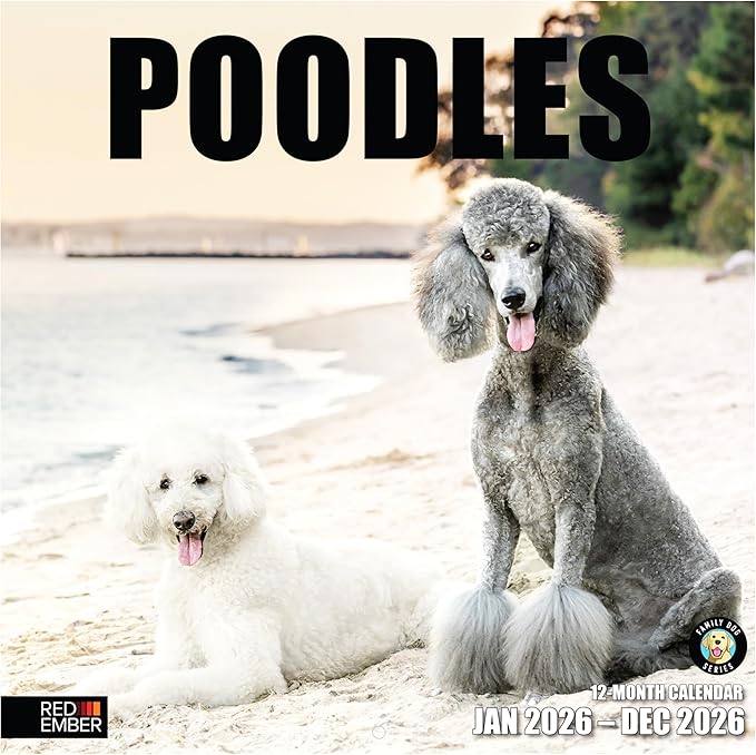 RED EMBER Poodles 2026 Wall Calendar 12 Month | 12" x 24" Open | Thick & Sturdy Paper | Holiday Gift | Cute Puppy Dog Calendar 2026