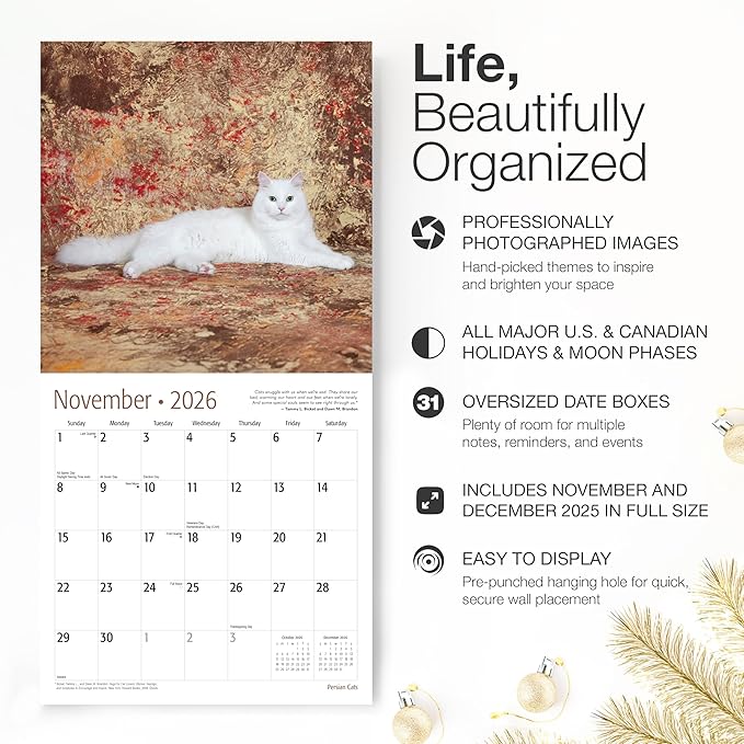 RED EMBER Persian Cats 2026 Wall Calendar 12 Month | 12" x 24" Open | Thick & Sturdy Paper | Holiday Gift | Cute Kitten Cat Calendar 2026