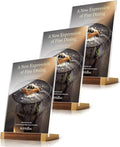 3 Pack Acrylic Sign Holder 8.5 x 11 Inch with Walnut Wood Base, Clear Tabletop Acrylic Display for Menu & Flyer Holder, Commercial Paper Stand for Restaurant, Office, Coffee, Bar, Wedding, Hotel