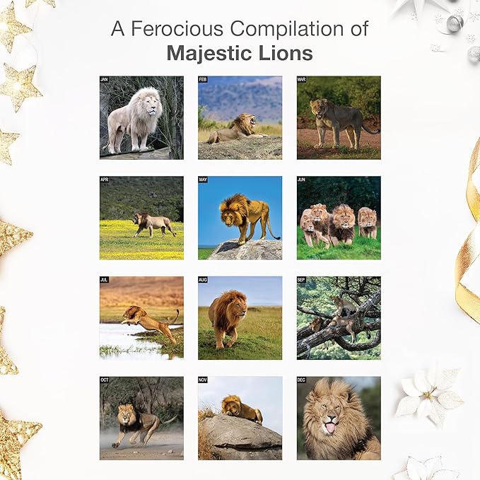 RED EMBER Lions 2026 Wall Calendar 12 Month | 12" x 24" Open | Thick & Sturdy Paper | Holiday Gift | Big Cats Animal Calendar 2026