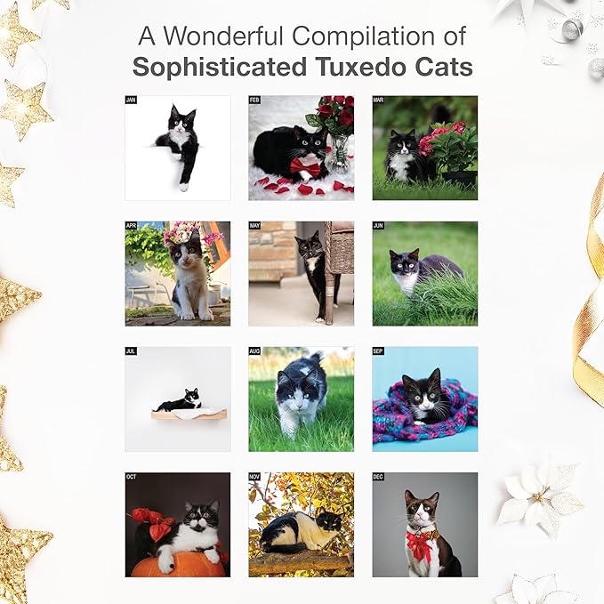 RED EMBER Tuxedo Cats 2026 Wall Calendar 12 Month | 12" x 24" Open | Thick & Sturdy Paper | Holiday Gift | Cute Kitten Cat Calendar 2026