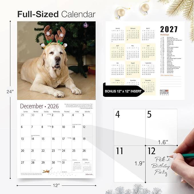 RED EMBER Yellow Labs 2026 Wall Calendar 12 Month | 12" x 24" Open | Thick & Sturdy Paper | Holiday Gift | Cute Labrador Retriever Puppy Dog Calendar 2026