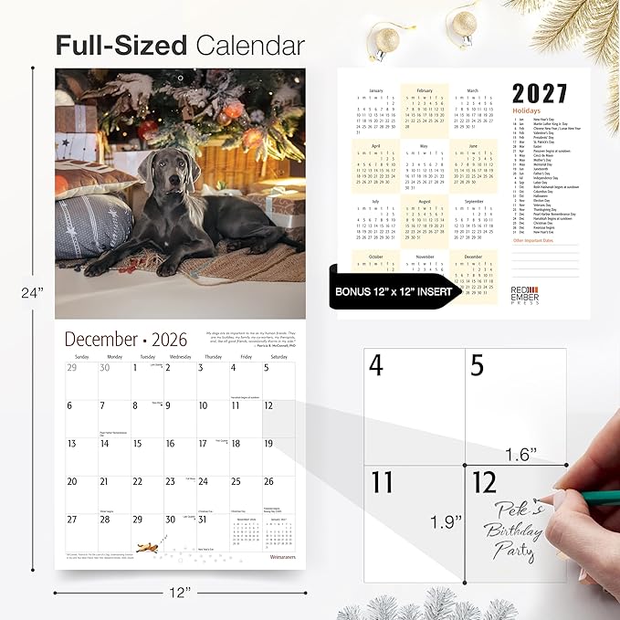 RED EMBER Weimaraners 2026 Wall Calendar 12 Month | 12" x 24" Open | Thick & Sturdy Paper | Holiday Gift | Cute Puppy Dog Calendar 2026