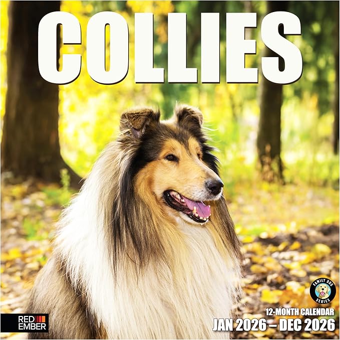 RED EMBER Collies 2026 Wall Calendar 12 Month | 12" x 24" Open | Thick & Sturdy Paper | Holiday Gift | Cute Puppy Dog Calendar 2026