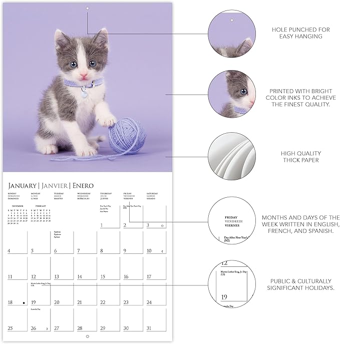 Graphique 2026 Cute Kittens Wall Calendar | 12” x 12” | Thick Paper | Home & Office Organizer | Large Monthly Grid | 3 Languages & Marked Holidays | 4 Month Preview Page for 2027