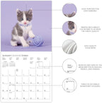 Graphique 2026 Cute Kittens Wall Calendar | 12” x 12” | Thick Paper | Home & Office Organizer | Large Monthly Grid | 3 Languages & Marked Holidays | 4 Month Preview Page for 2027