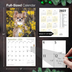MICASA PRESS Chihuahuas 2026 Wall Calendar 12 Month | 12" x 24" Open | Thick & Sturdy Paper | Holiday Gift | Cute Puppy Dog Calendar 2026
