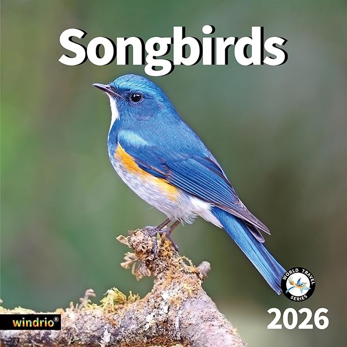 2026 Wall Calendar,Calendar 2026, November 2025 - December 2026, Wall Calendar Song Birds, 12" x 24" Opened,Full Page Months Thick & Sturdy Paper for Calendar Organizing & Planning