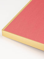 Lightomorrow Bulletin Board 23.6 x 17.7 inches, Coral Red Pin Board, Golden Aluminum Framed Fabric Cork Board with 10 Push Pins