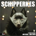 RED EMBER Schipperkes 2026 Wall Calendar 12 Month | 12" x 24" Open | Thick & Sturdy Paper | Holiday Gift | Cute Puppy Dog Calendar 2026