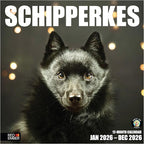 RED EMBER Schipperkes 2026 Wall Calendar 12 Month | 12" x 24" Open | Thick & Sturdy Paper | Holiday Gift | Cute Puppy Dog Calendar 2026