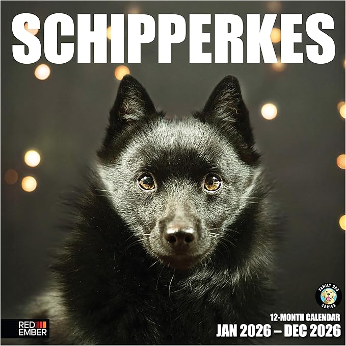 RED EMBER Schipperkes 2026 Wall Calendar 12 Month | 12" x 24" Open | Thick & Sturdy Paper | Holiday Gift | Cute Puppy Dog Calendar 2026