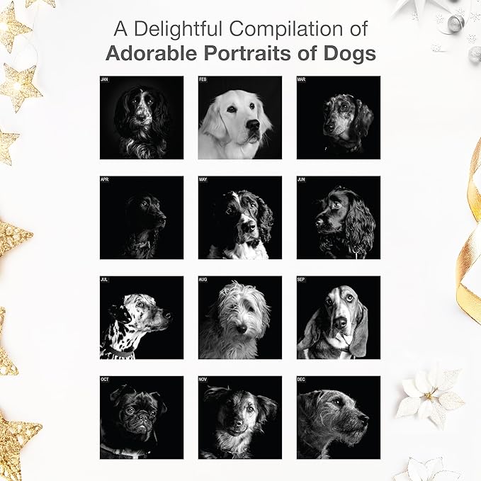 RED EMBER Portraits of Dogs 2026 Wall Calendar 12 Month | 12" x 24" Open | Thick & Sturdy Paper | Holiday Gift | Art Cute Puppy Dog Calendar 2026