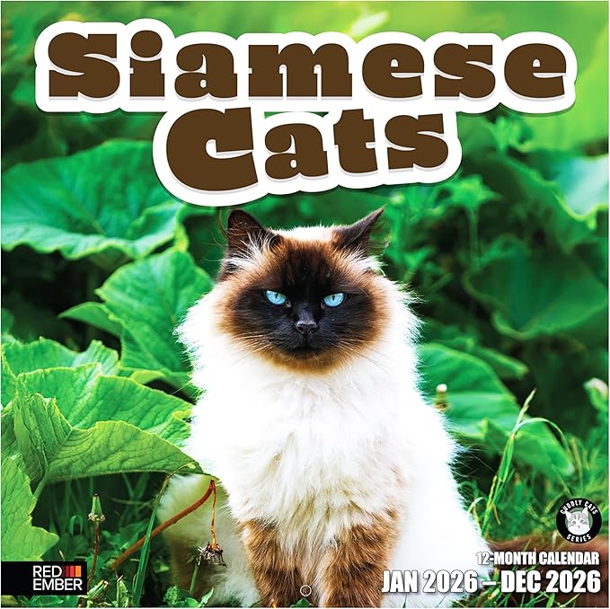 RED EMBER Siamese Cats 2026 Wall Calendar 12 Month | 12" x 24" Open | Thick & Sturdy Paper | Holiday Gift | Cute Kitten Cat Calendar 2026