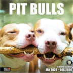 RED EMBER Pit Bulls 2026 Wall Calendar 12 Month | 12" x 24" Open | Thick & Sturdy Paper | Holiday Gift | Cute Puppy Dog Calendar 2026