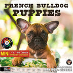 RED EMBER French Bulldog Puppies 2026 Mini Wall Calendar 12 Month | 7" x 14" Open | Thick & Sturdy Paper | Holiday Gift | Cute Frenchie Puppy Dog Calendar 2026