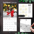 MICASA PRESS Border Collie Puppies 2026 Wall Calendar 12 Month | Thick & Sturdy Paper | Holiday Gift | Cute Puppy Dog Calendar 2026
