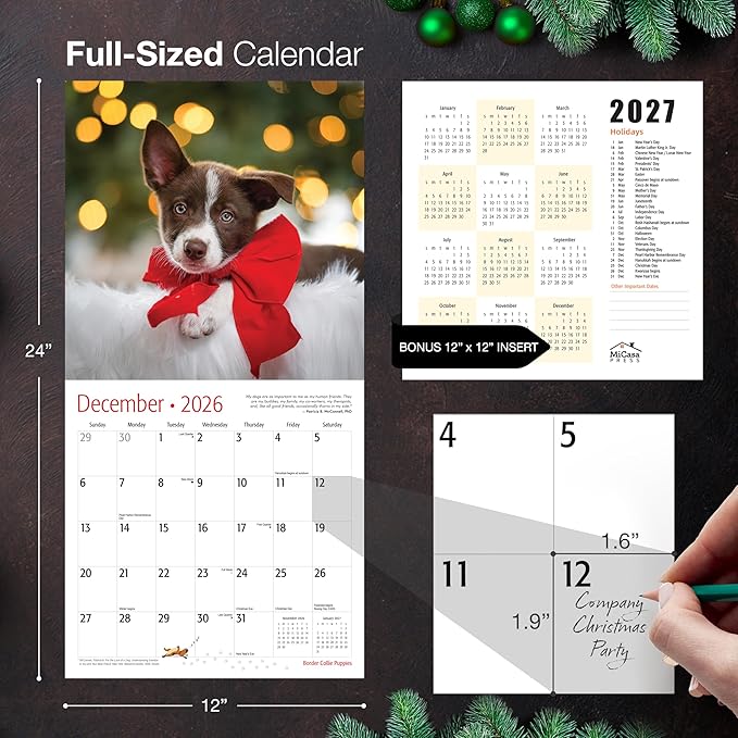 MICASA PRESS Border Collie Puppies 2026 Wall Calendar 12 Month | Thick & Sturdy Paper | Holiday Gift | Cute Puppy Dog Calendar 2026