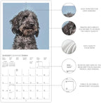 Graphique 2026 Judging Dogs Wall Calendar | 12” x 12” | Thick Paper | Home & Office Organizer | Large Monthly Grid | 3 Languages & Marked Holidays | 4 Month Preview Page for 2027