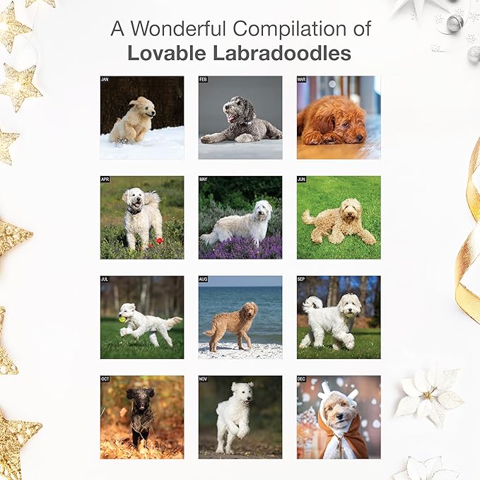 RED EMBER Labradoodles 2026 Wall Calendar 12 Month | 12" x 24" Open | Thick & Sturdy Paper | Holiday Gift | Cute Labrador Retriever Poodle Puppy Dog Calendar 2026
