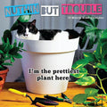 Graphique 2026 Nuthin' But Trouble Wall Calendar | 12” x 12” | Thick Paper | Home & Office Organizer | Large Monthly Grid | 3 Languages & Marked Holidays | 4 Month Preview Page for 2027