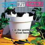 Graphique 2026 Nuthin' But Trouble Wall Calendar | 12” x 12” | Thick Paper | Home & Office Organizer | Large Monthly Grid | 3 Languages & Marked Holidays | 4 Month Preview Page for 2027