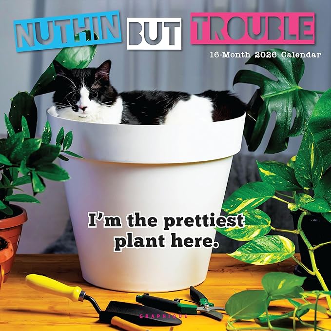 Graphique 2026 Nuthin' But Trouble Wall Calendar | 12” x 12” | Thick Paper | Home & Office Organizer | Large Monthly Grid | 3 Languages & Marked Holidays | 4 Month Preview Page for 2027