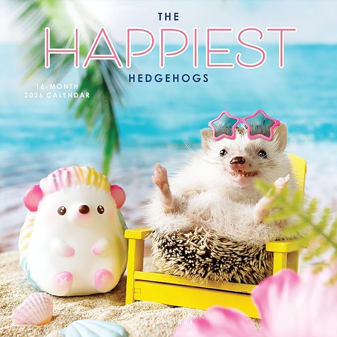 Graphique 2026 Happiest Hedgehogs Wall Calendar | 12” x 12” | Thick Paper | Home & Office Organizer | Large Monthly Grid | 3 Languages & Marked Holidays | 4 Month Preview Page for 2027