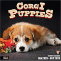 RED EMBER Corgi Puppies 2026 Wall Calendar 12 Month | 12" x 24" Open | Thick & Sturdy Paper | Holiday Gift | Cute Puppy Dog Calendar 2026