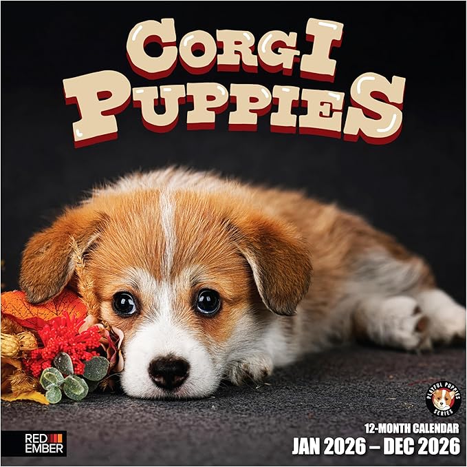 RED EMBER Corgi Puppies 2026 Wall Calendar 12 Month | 12" x 24" Open | Thick & Sturdy Paper | Holiday Gift | Cute Puppy Dog Calendar 2026
