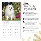 RED EMBER American Eskimo Dogs 2026 Wall Calendar 12 Month | 12" x 24" Open | Thick & Sturdy Paper | Holiday Gift | Cute Puppy Dog Calendar 2026