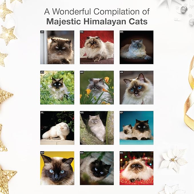 RED EMBER Himalayan Cats 2026 Wall Calendar 12 Month | 12" x 24" Open | Thick & Sturdy Paper | Holiday Gift | Cute Kitten Cat Calendar 2026