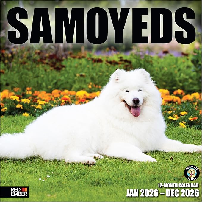 RED EMBER Samoyeds 2026 Wall Calendar 12 Month | 12" x 24" Open | Thick & Sturdy Paper | Holiday Gift | Cute Puppy Dog Calendar 2026