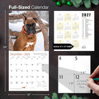 MICASA PRESS Boxers 2026 Wall Calendar 12 Month | 12" x 24" Open | Thick & Sturdy Paper | Holiday Gift | Cute Puppy Dog Calendar 2026