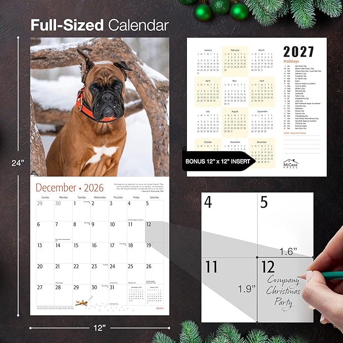MICASA PRESS Boxers 2026 Wall Calendar 12 Month | 12" x 24" Open | Thick & Sturdy Paper | Holiday Gift | Cute Puppy Dog Calendar 2026