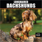 MICASA PRESS Longhaired Dachshunds 2026 Wall Calendar 12 Month | 12" x 24" Open | Thick & Sturdy Paper | Holiday Gift | Cute Puppy Weiner Dog Calendar 2026