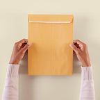 Amazon Basics Catalog Mailing Envelopes, Peel and Seal, 9x12 Inch, Brown Kraft, 250-Pack