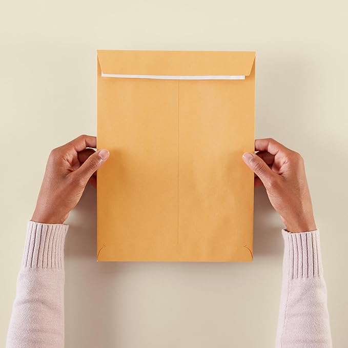 Amazon Basics Catalog Mailing Envelopes, Peel and Seal, 9x12 Inch, Brown Kraft, 100-Pack