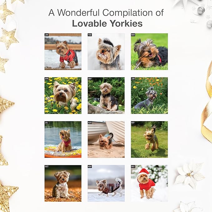 RED EMBER Yorkies Yorkshire Terriers 2026 Wall Calendar 12 Month | 12" x 24" Open | Thick & Sturdy Paper | Holiday Gift | Cute Puppy Dog Calendar 2026