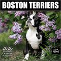 MICASA PRESS Boston Terriers 2026 Wall Calendar 12 Month | 12" x 24" Open | Thick & Sturdy Paper | Holiday Gift | Cute Puppy Dog Calendar 2026