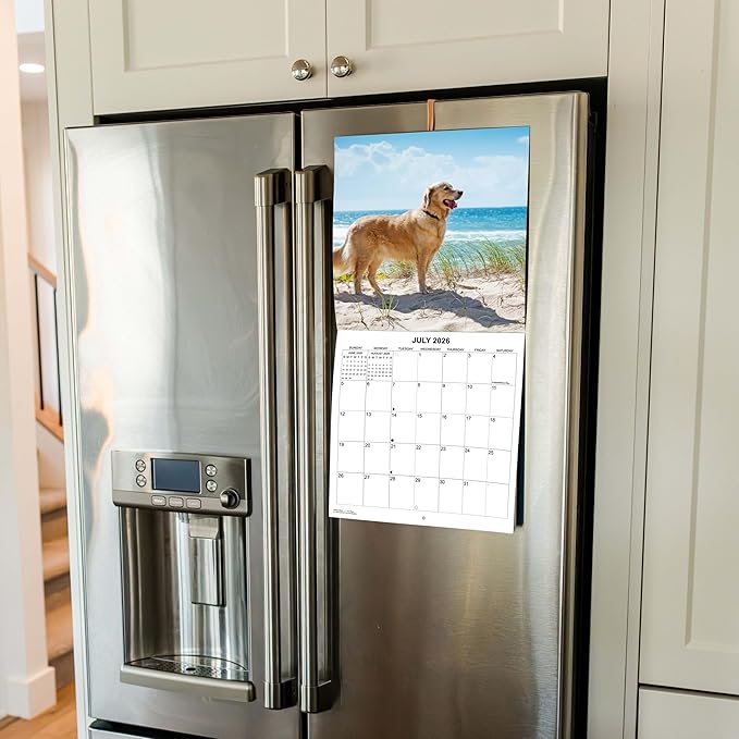 2026 Golden Retrievers Monthly Wall Calendar | Cute Dogs Calendar September 2025 - December 2026