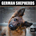 MICASA PRESS German Shepherds 2026 Wall Calendar 12 Month | 12" x 24" Open | Thick & Sturdy Paper | Holiday Gift | Cute Puppy Dog Calendar 2026