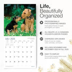 RED EMBER Welsh Terriers 2026 Wall Calendar 12 Month | 12" x 24" Open | Thick & Sturdy Paper | Holiday Gift | Cute Puppy Dog Calendar 2026