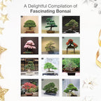 RED EMBER Bonsai 2026 Wall Calendar 12 Month | 12" x 24" Open | Thick & Sturdy Paper | Holiday Gift | Nature Calendar 2026