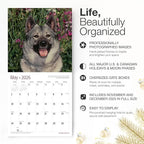 RED EMBER Norwegian Elkhounds 2026 Wall Calendar 12 Month | 12" x 24" Open | Thick & Sturdy Paper | Holiday Gift | Cute Puppy Dog Calendar 2026