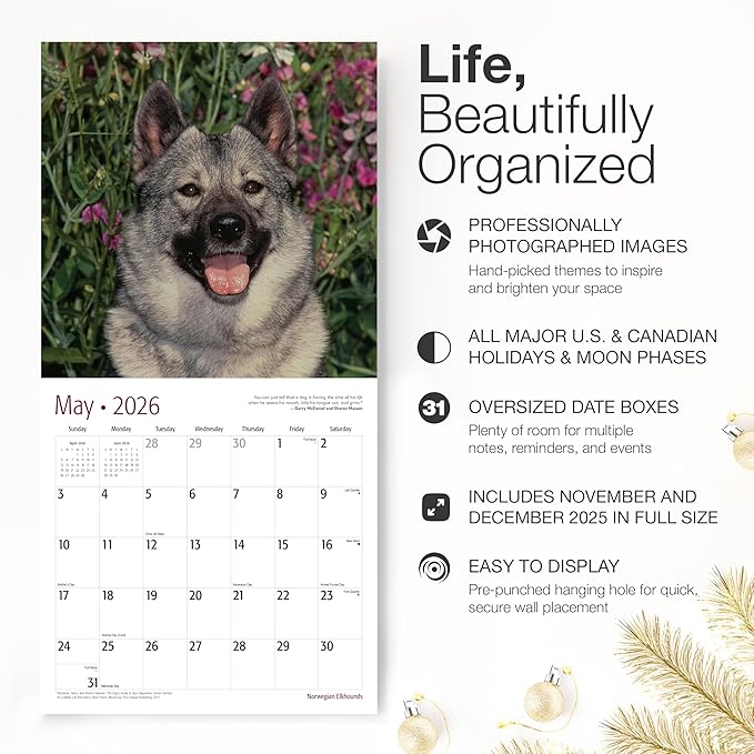 RED EMBER Norwegian Elkhounds 2026 Wall Calendar 12 Month | 12" x 24" Open | Thick & Sturdy Paper | Holiday Gift | Cute Puppy Dog Calendar 2026