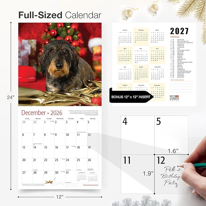 RED EMBER Wirehaired Dachshunds 2026 Wall Calendar 12 Month | 12" x 24" Open | Thick & Sturdy Paper | Holiday Gift | Cute Puppy Weiner Dog Calendar 2026